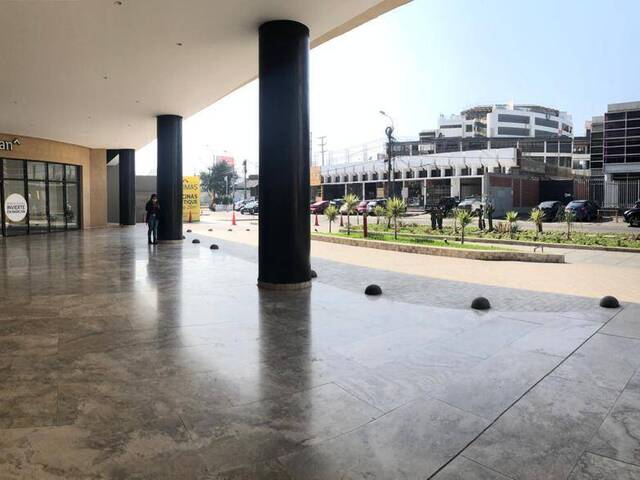 #151 - Establecimiento Comercial para Venta en Lima - LIM - 2